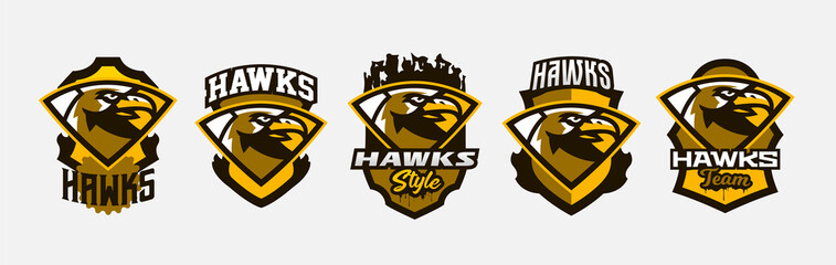 A set of colorful logos, stickers, emblems of a hawk's head. Flying bird, hunter, predator, dangerous animal, shield, lettering. Mascot sports club, vector illustration