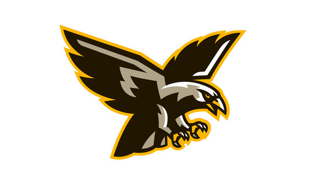 Modern Professional Logo for Sport Team. Black Hawk Mascot. Hawks, Vector  Symbol on a Dark Background. Stock Vector - Illustration of bird, badge:  140391055