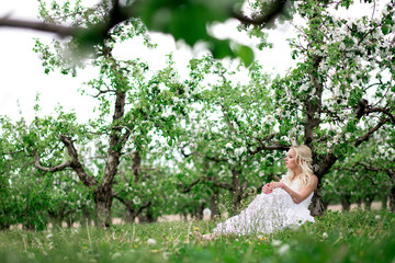 Naklejka na ściany i meble Amazing blonde bride sitting in grass in blooming apple garden