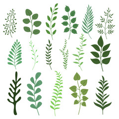 Plant branch with green garden leaves vector set