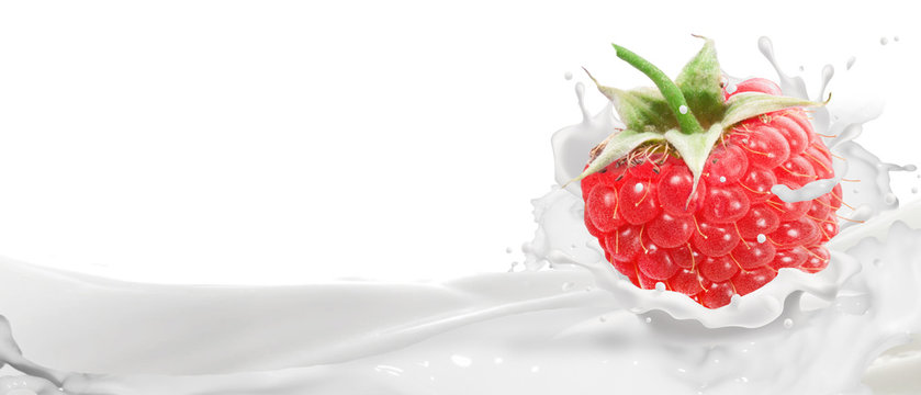 Ripe raspberries in the spray of milk .