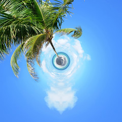 360 degree view of Palm on the beach