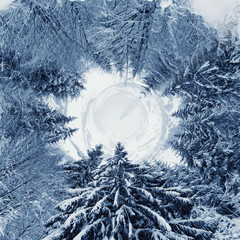 360 degree view of Winter landscape
