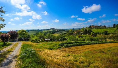 Fototapeta na wymiar Magical journey fields of Tuscany