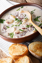 Creamy soup of wild rice with porcini mushrooms close-up in a bowl and toast. vertical