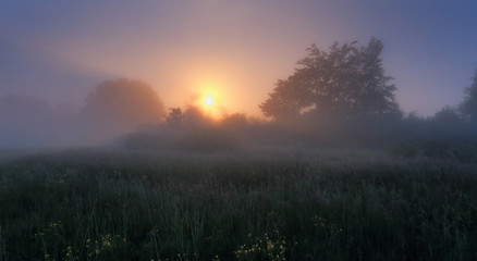 Fototapeta na wymiar Misty morning scene