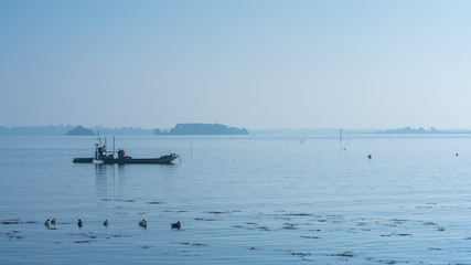 Obraz premium Beautiful panorama of the Morbihan gulf, fisherboat in the mist 