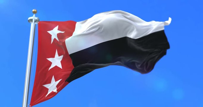 Flag of Laredo city, city of Texas in United States of America - loop