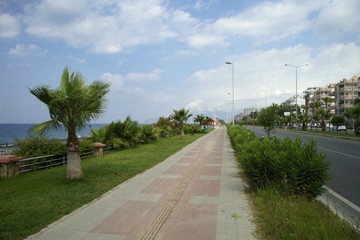 embankment with palm trees in turkey