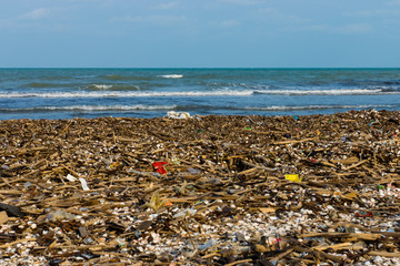 The dirty sea is full of rubbish.