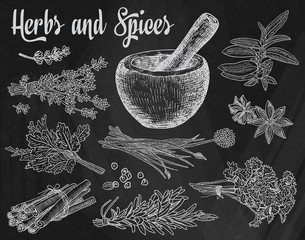 Beautiful hand drawing healthy herbs and spices mortar. Herbs, basil, chervil on the chalkboard background - 199091964