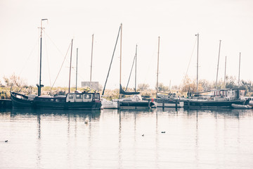Fototapeta premium Harbor of a dutch village with sailing yachts