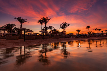 Beautiful romantic sunset over a sandy beach and palm trees. Egypt. Hurghada - obrazy, fototapety, plakaty
