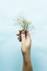Fototapeta na wymiar Blue manicure on female nails on a blue background next to the flowers of gypsophila. Trend for gentle pastel colors. Beauty and personal care