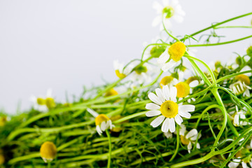 Cherry and rope on white with clamp