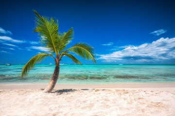 Fototapeta na wymiar Palmtree and tropical island beach and speed boats in Caribbean sea.