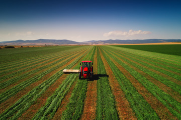 Tractor mowing green field, aerial drone view. Agriculture. Farming. Fields.