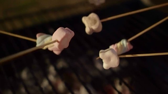 Grilling Marshmallow after barbecue camping 4K