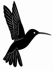 hummingbird illustration, vector draw