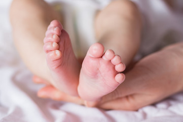 Obraz na płótnie Canvas Beautiful image of the feet of a newborn baby in female hands