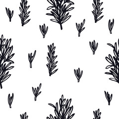 Food collection Culinary Herbs and Spices Rosemary Seamless pattern