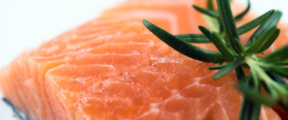 Slices of the fresh salmon on white