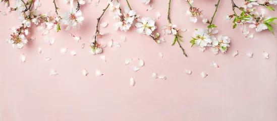 Wall murals For her Spring floral background, texture, wallpaper. Flat-lay of white almond blossom flowers and petals over pink background, top view, copy space, wide composition. Womens day holiday greeting card