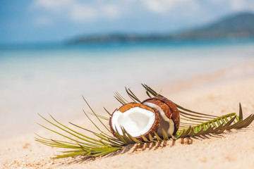 crashed coconut in the sand on the shore of a warm tropical sea, rest and travel concept, healthy food