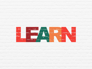 Learning concept: Painted multicolor text Learn on White Brick wall background