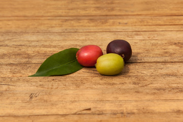 Ripe and fresh coffee berries.