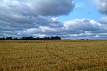 Sloping field in autumn in Russia