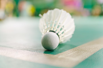 badminton courts with shuttlecocks in the foreground