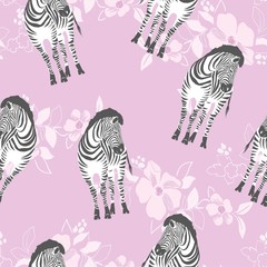 Fototapeta na wymiar Zebra pattern, illustration, animal.