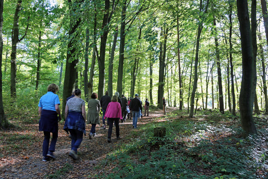 Wanderung im Wald