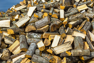 A bunch of firewood.