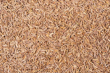 Cumin seeds background