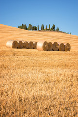 Fototapeta premium Beautiful typical landscape of Val d'Orcia in Tuscany with hay bales in a field in summer, Val d'Orcia, Tuscany, Italy