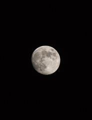 Waxing Gibbous Moon in Portrait