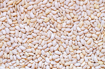 background of beans (white bean), top view