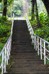 stone bridge in green nature background