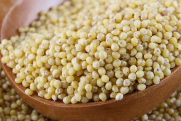 Small millet grains