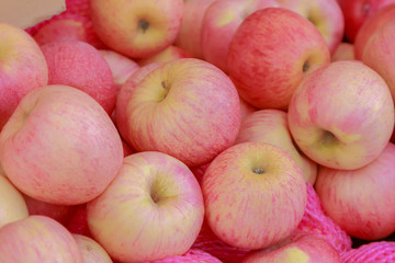 apples 
