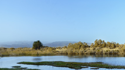 Charca de Maspalomas, Gran Canaria