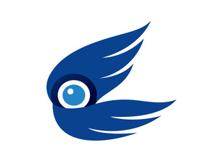 Drone Air Photography and Air Videography