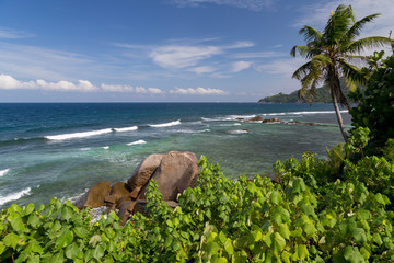 The Seychelles, one of beaches with big stones and a lot of plants