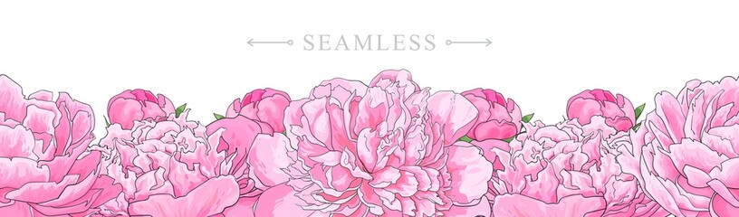 Elegant pink peonies border seamless pattern isolated on white background. Hand drawn gentle blossom flower element for romantic wedding greeting card or invitation. Vector illustration. © sabelskaya
