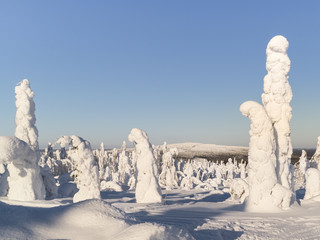 Fototapeta na wymiar Winter landscape.Snowy trees and ski slopes.