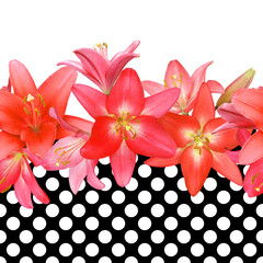 Seamless border with lilies on background polka dots, photo-collage.