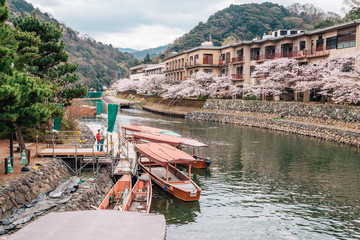 Uji river with cherry blossoms in Kyoto, Japan