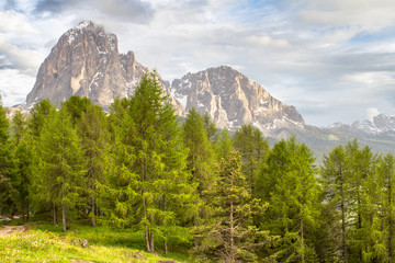 Mount Langkofel (Sassolungo) in the Dolomites of South Tyrol, Italy